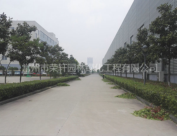 溧陽中興西田養(yǎng)護(hù)