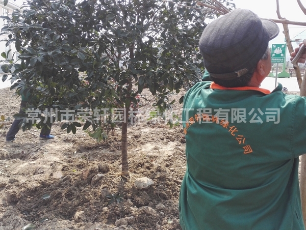 丹陽(yáng)沃特施工