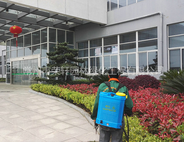 溧陽中興西田養(yǎng)護