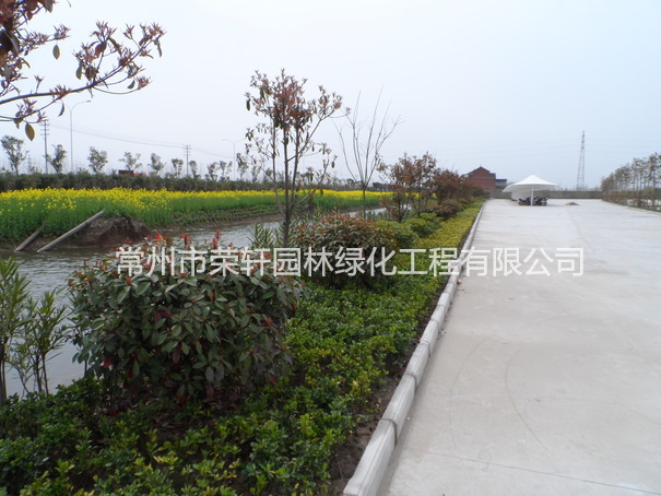 兆勝集團(tuán)施工