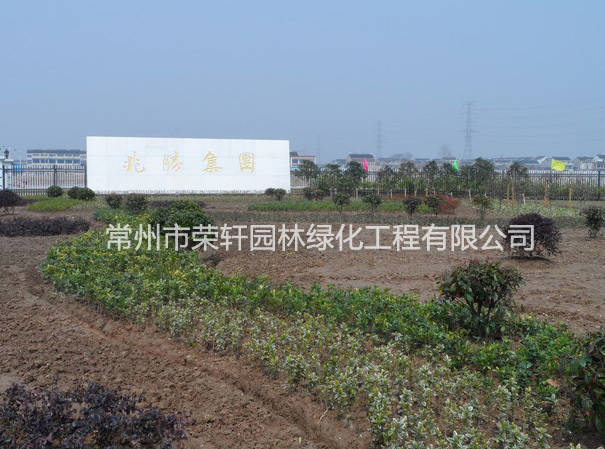 兆勝集團(tuán)施工