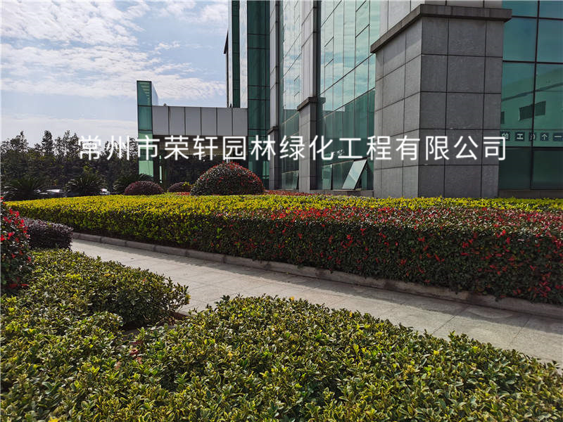 順風(fēng)光電養(yǎng)護(hù)