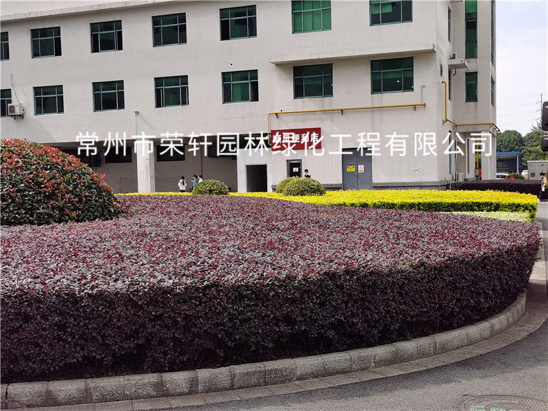 順風(fēng)光電養(yǎng)護(hù)