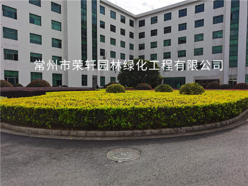 順風(fēng)光電養(yǎng)護(hù)