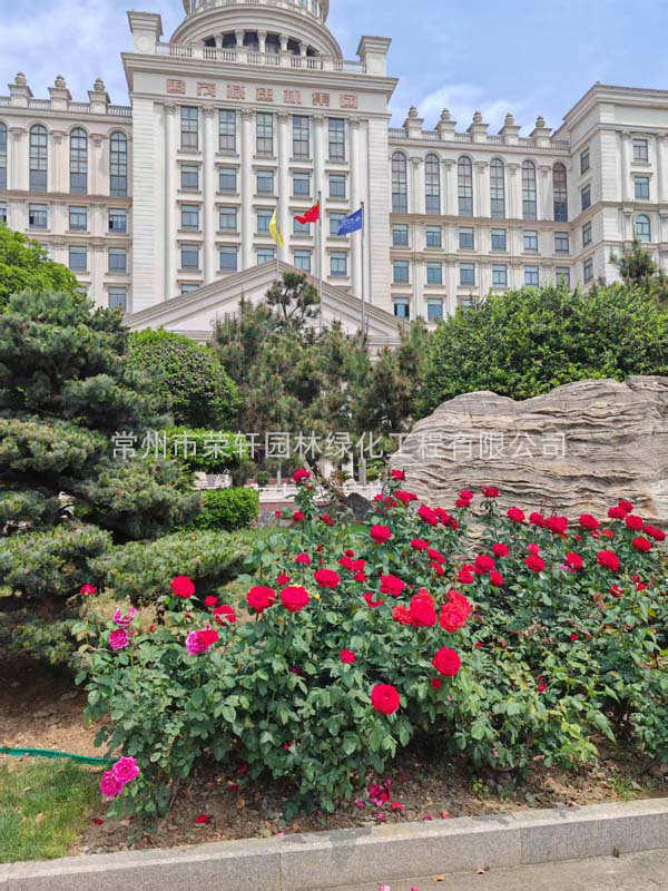 國茂減速機(jī)集團(tuán)有限公司