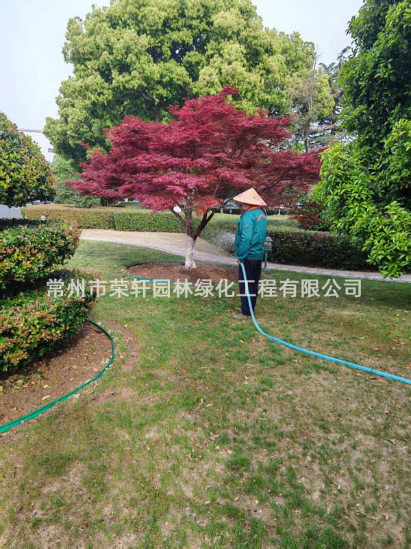 國茂減速機(jī)集團(tuán)有限公司